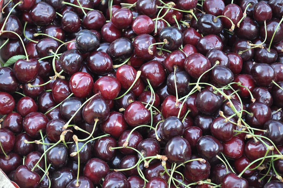 red cherry fruit lot, cherries, vitamins, summer, growth, harvest HD wallpaper