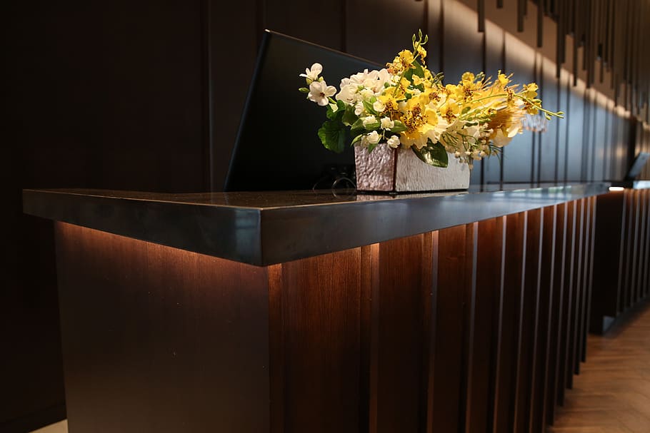 hotel, counter, lobby, flower, flowering plant, nature, freshness HD wallpaper