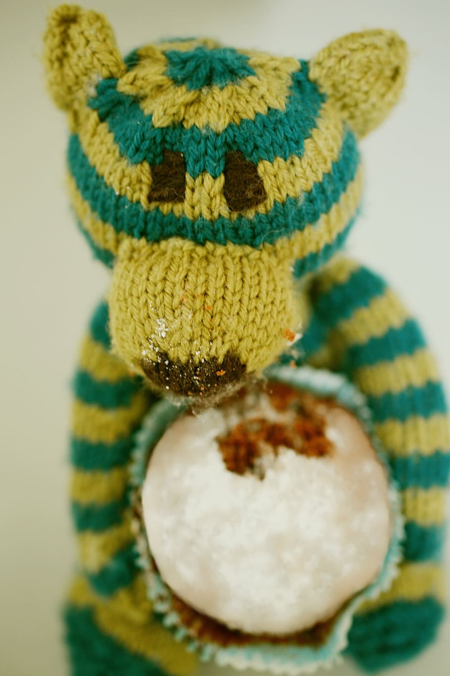 teddy, teddy bear, muffin, nibble, sweet, bears, cute, knitted HD wallpaper