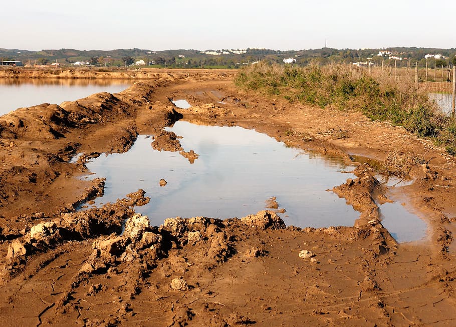 nature, mud, path, walking path, impassable, blockade, stopping