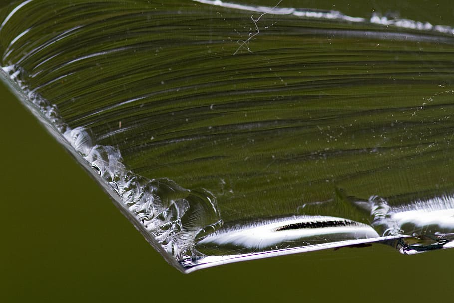 glass, edge, structure, pattern, enlarge, animal, water, animal themes HD wallpaper
