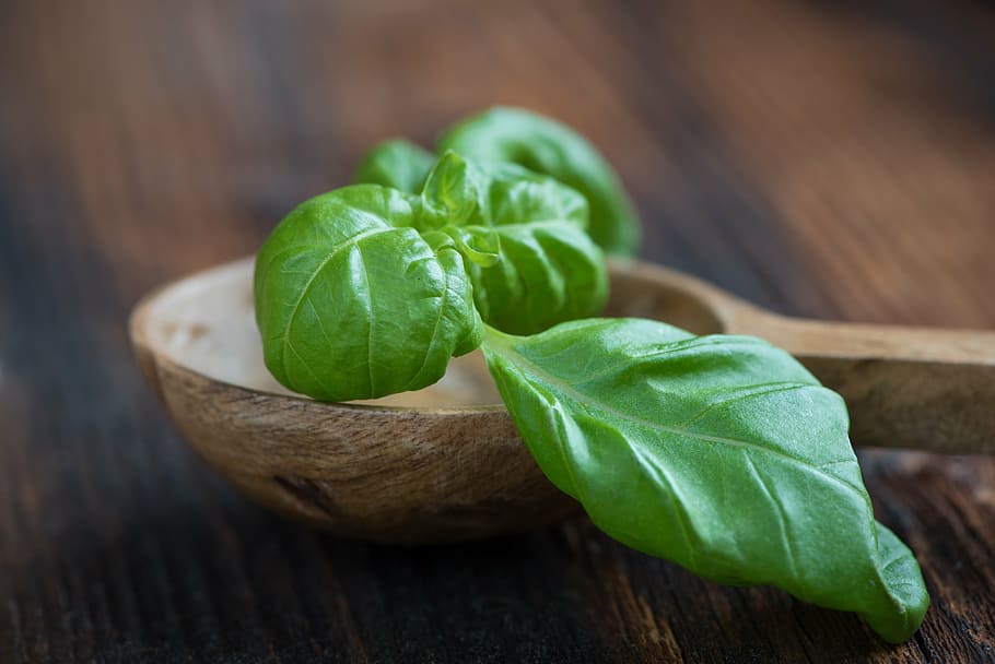 green leafed vegetable on top of brown wooden ladle, basil HD wallpaper
