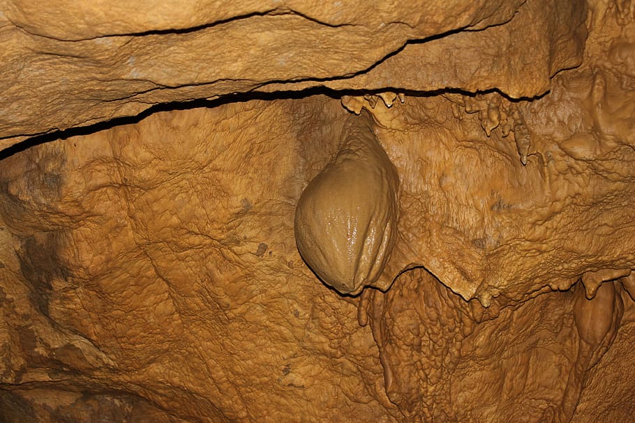 cave, stone, rock, textured, tree, full frame, backgrounds HD wallpaper