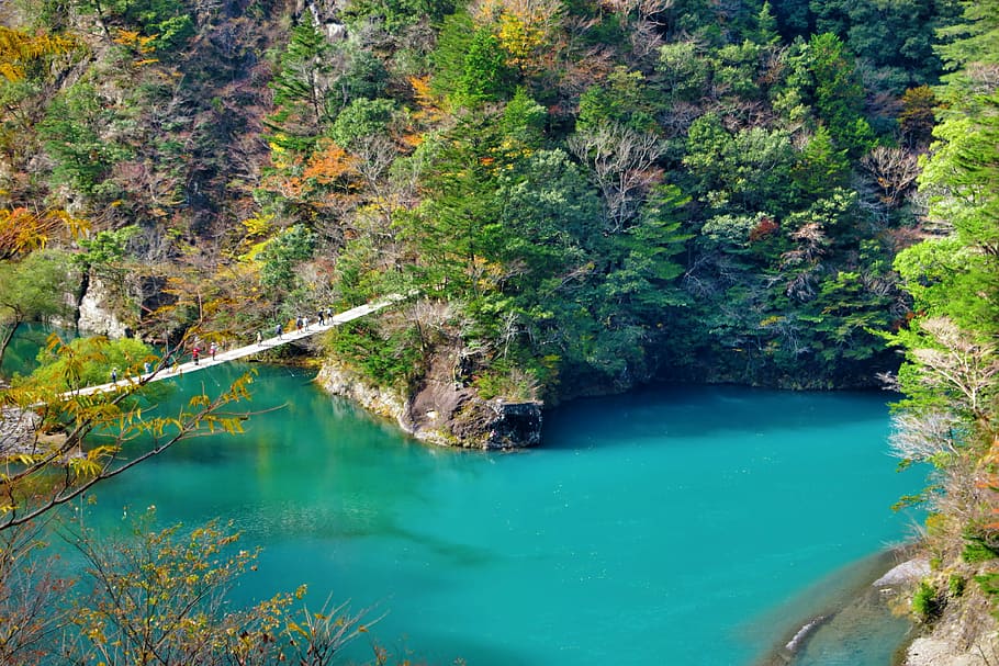 body of water between mountain, bird's eye view photography of river with bridge HD wallpaper