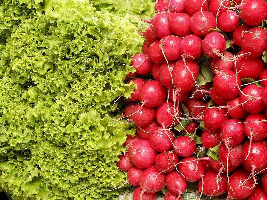 radishes and lettuces, salad, vegetables, plants, vegetale, red, HD wallpaper