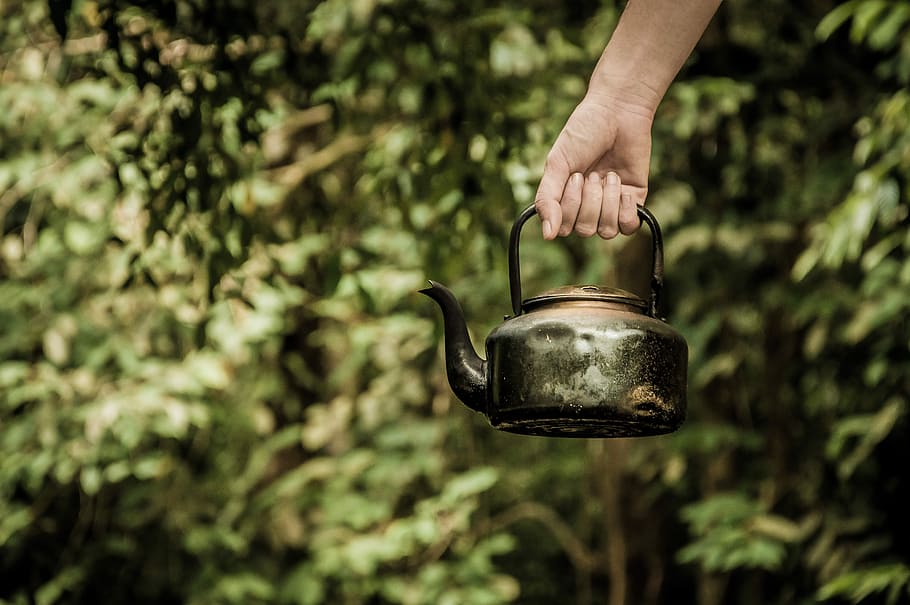 person holding black kettle, black metal kettle, tea kettle, tea pot HD wallpaper