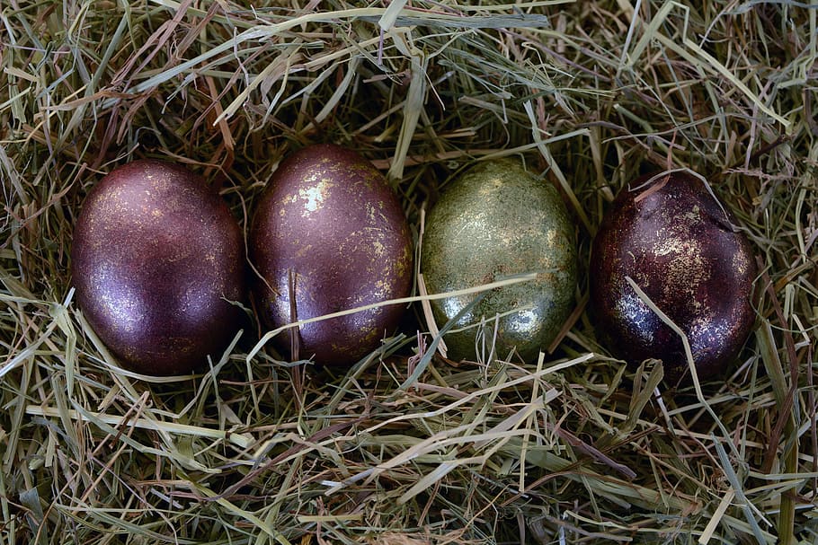 easter eggs, decoration, easter decoration, happy easter, green HD wallpaper