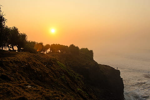 rock formation mountain near se during golden hour, trees on cliff front of sea during golden hour HD wallpaper
