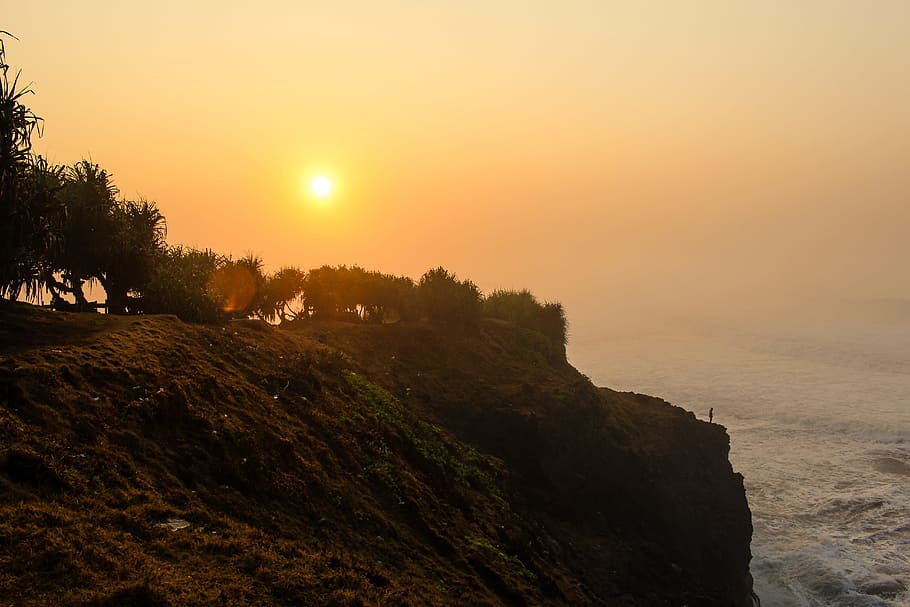 rock formation mountain near se during golden hour, trees on cliff front of sea during golden hour HD wallpaper