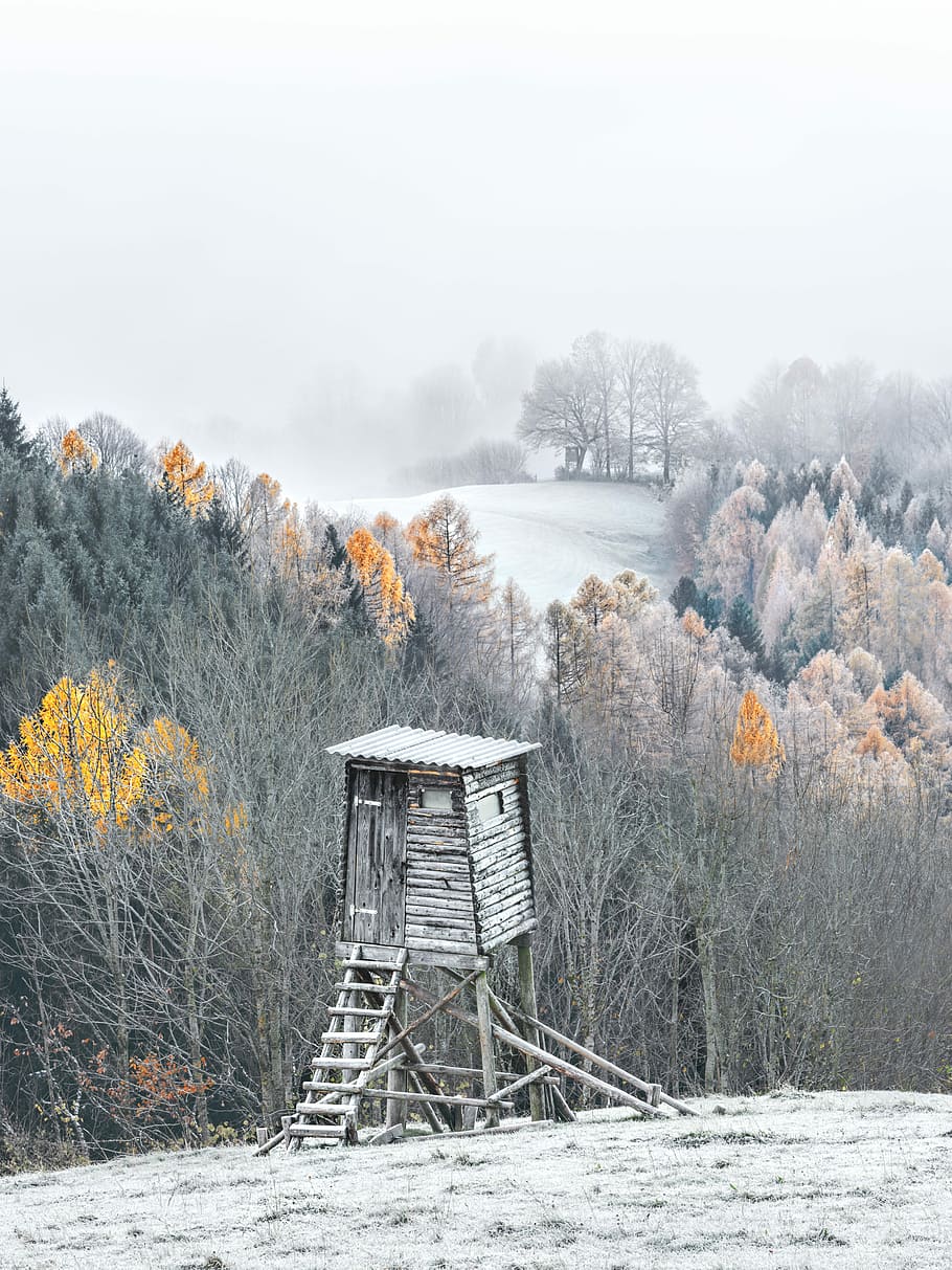 watchtower covered in snow, brown wooden ladder house on top of the mountain during daytime HD wallpaper