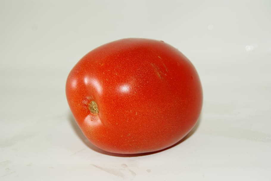 tomato, red, nature, vegetable, fruit, vegetables, healthy eating HD wallpaper
