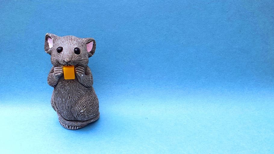 mousy, cheese, mouse, background, backdrop, animal, fun, rodent HD wallpaper