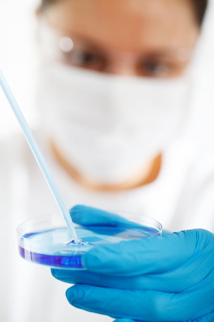 close up photography of person in blue laboratory gloves holding round clear case with blue liquid