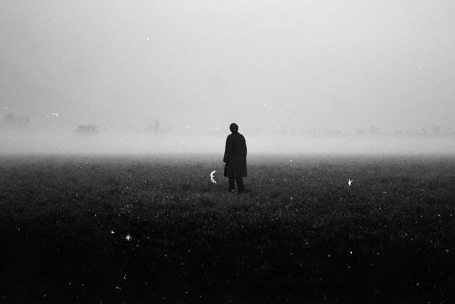 man standing on grass, man standing on grass land, fog, one person HD wallpaper