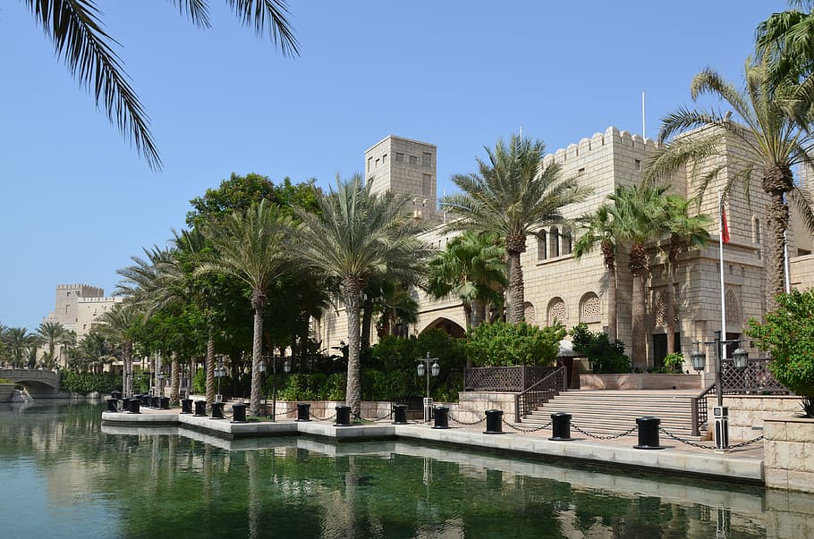 U A, A E, Arabic, Dubai, City, Holiday, u a e, palm trees, park HD wallpaper