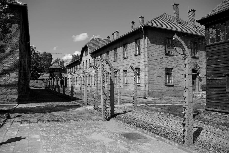 grayscale photo of barbwire, auschwitz-birkenau, concentration camp