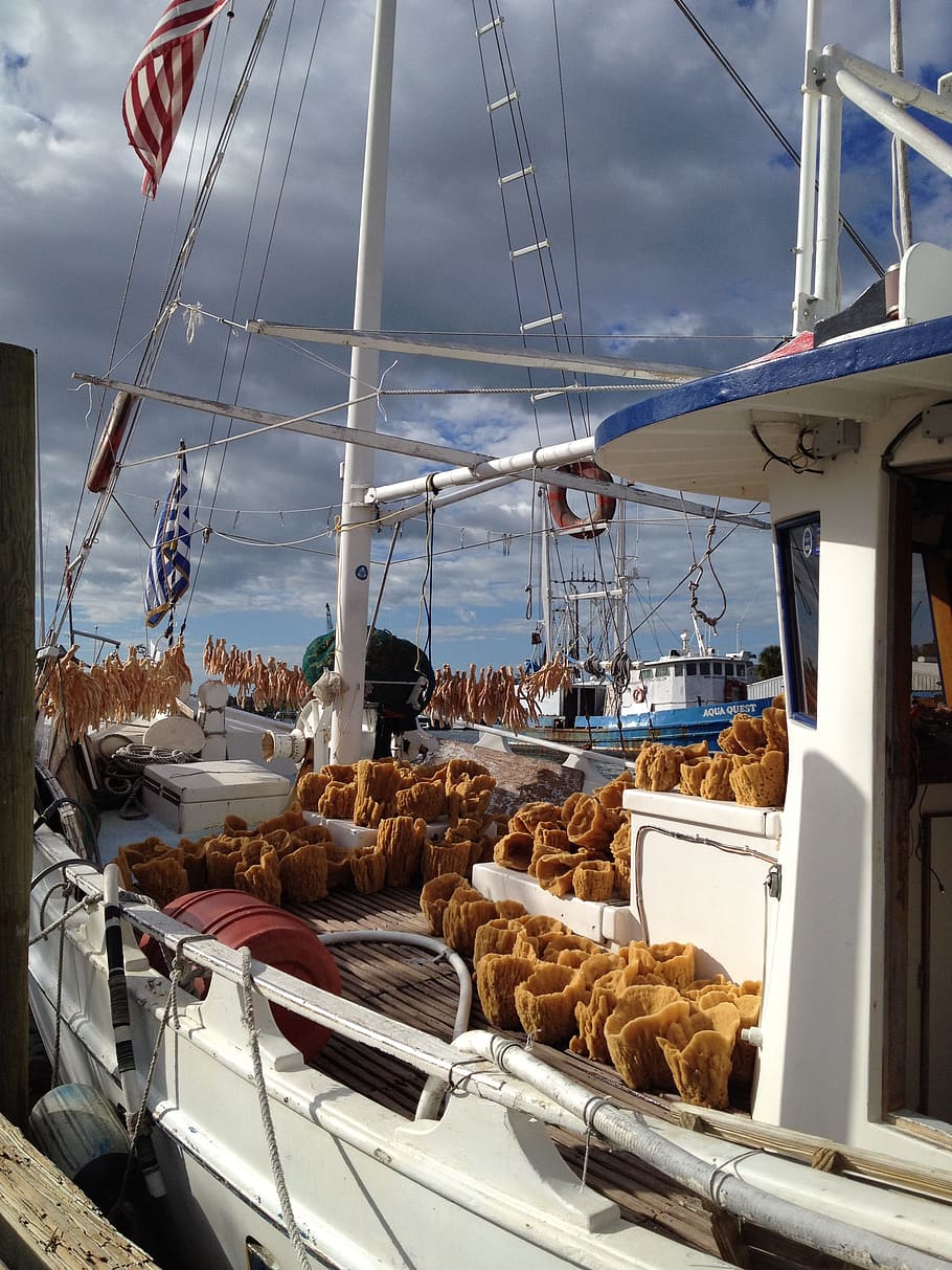 tarpon springs, florida, sponges, boats, sky, nautical vessel, HD wallpaper
