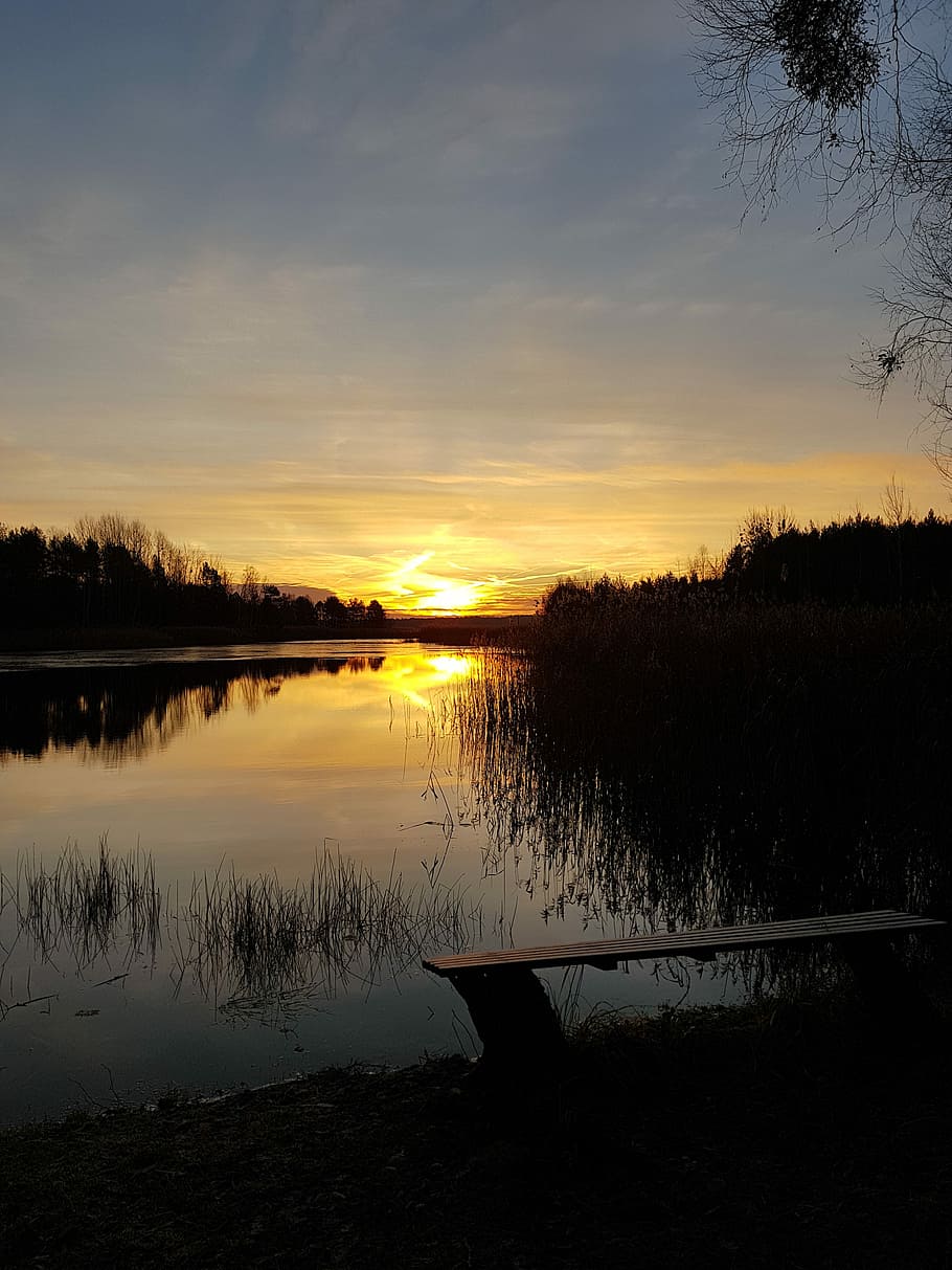 sun, setting, tree, landscape, waters, light, fog, sky, sunset HD wallpaper