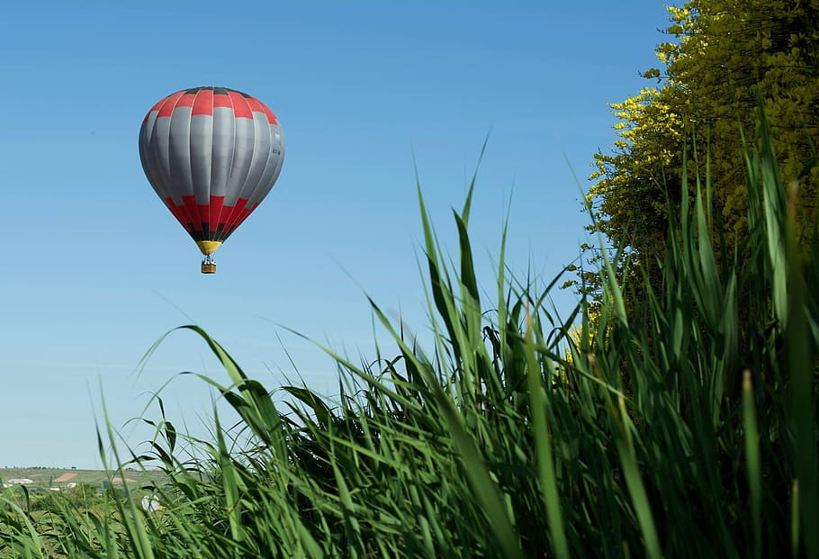 ballon, mallorca, landscape, balloon, hot air balloon, plant HD wallpaper
