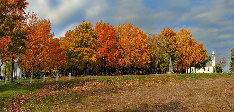 autumn, fall, colours, colors, season, orange, colorful, leaves, HD wallpaper