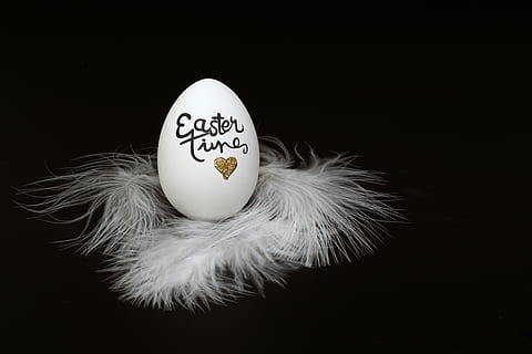 white and black Easter Time easter egg, glass, fragile, feather HD wallpaper