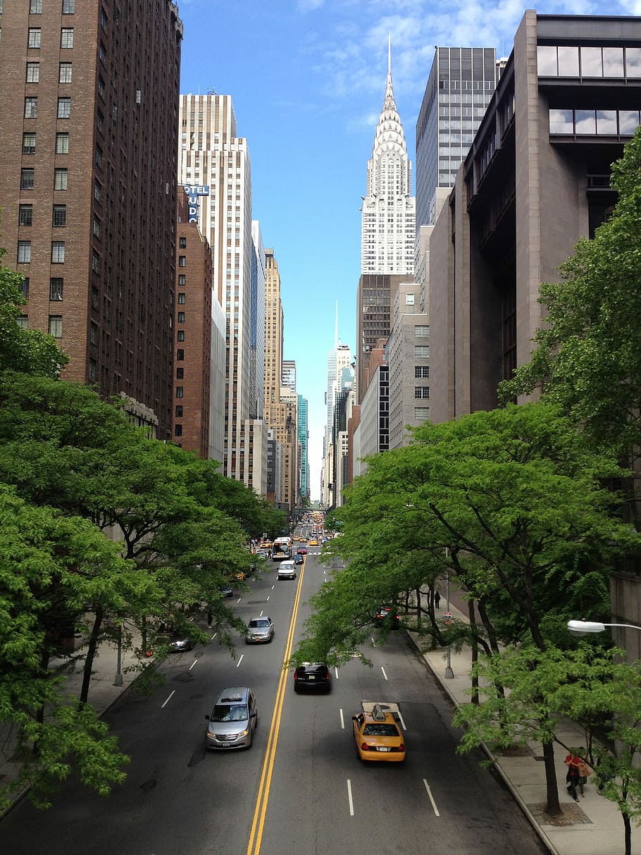 cars in the middle of buildings, city, uSA, skyscraper, urban Scene HD wallpaper
