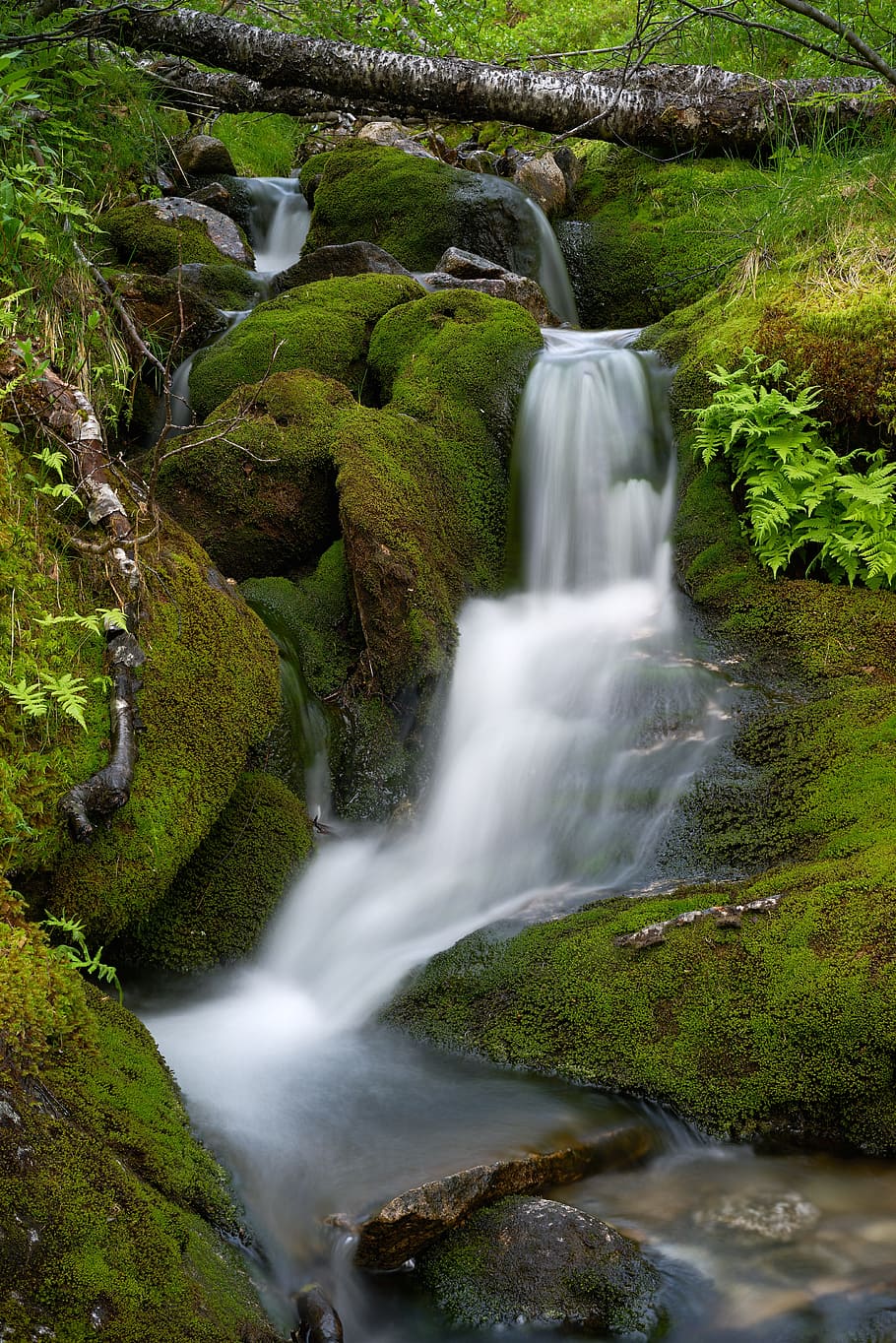 stream waterfalls, nature, summer, scenics - nature, beauty in nature HD wallpaper