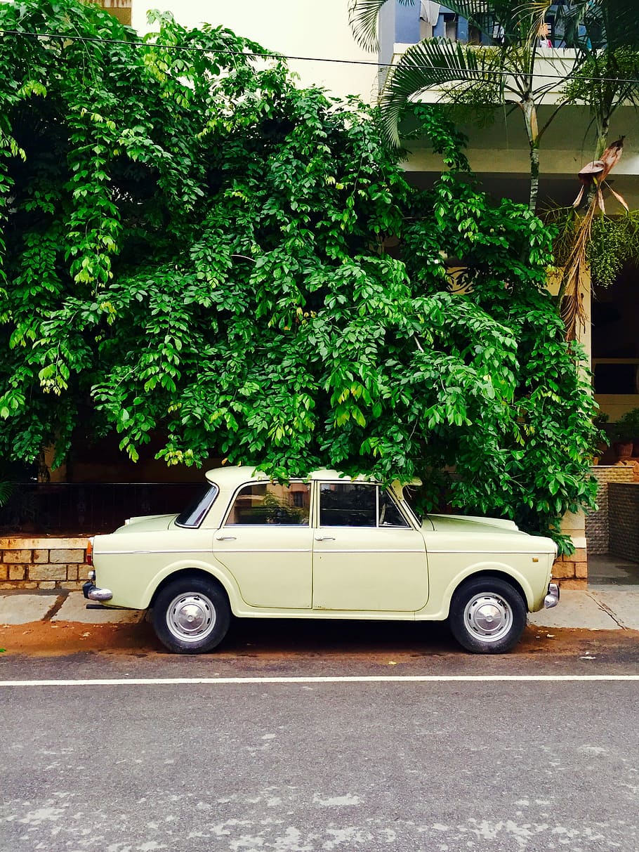 white vintage sedan parked on road side, car, old-fashioned, street HD wallpaper