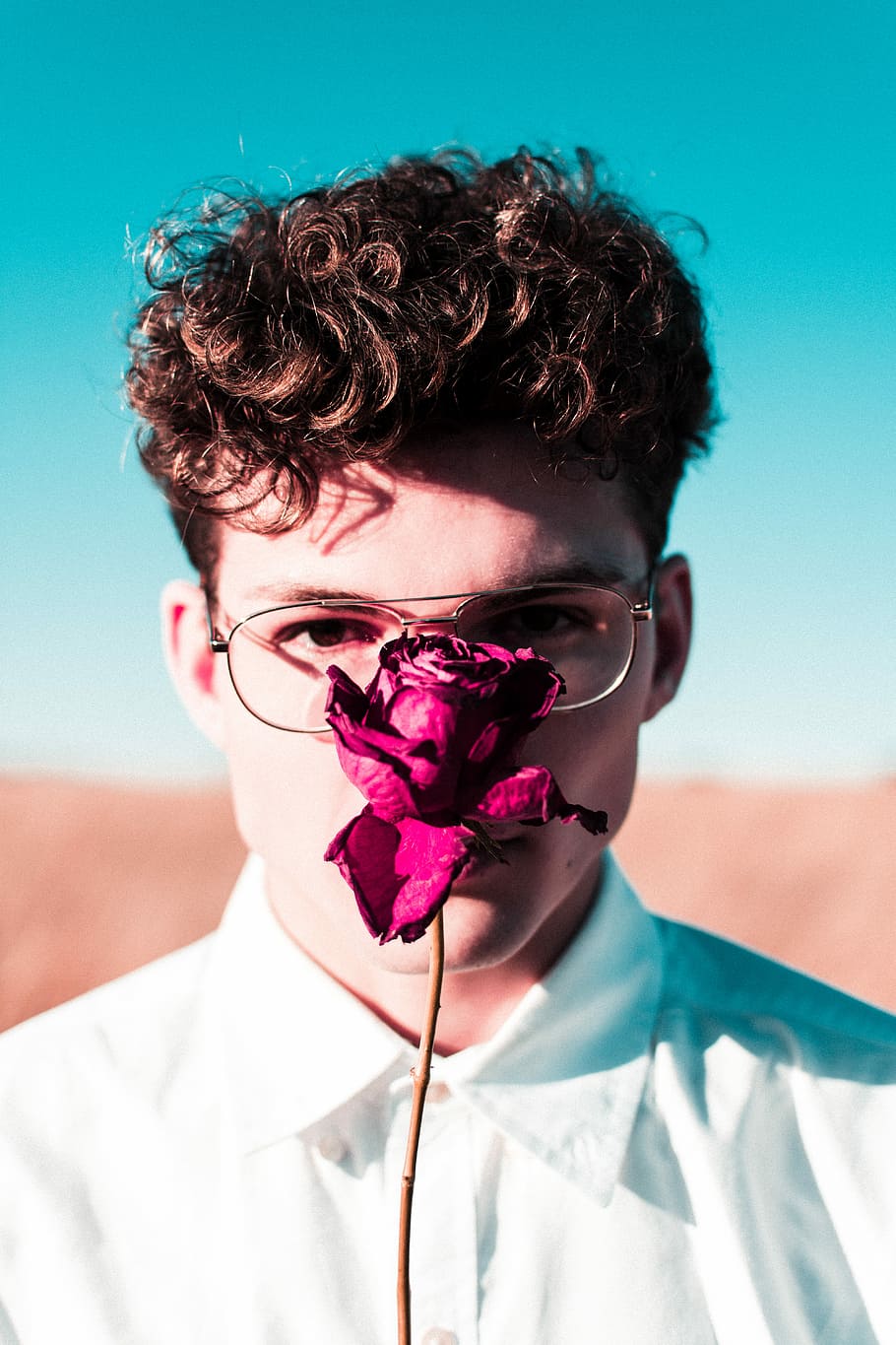 man with rose in front of face, man behind pink rose, guy, glasses HD wallpaper