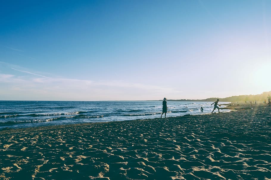 two person walking on seashore during daytime, photo of two person walking on seashore HD wallpaper