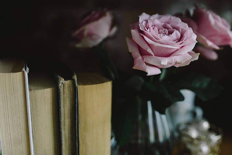 Lovely roseses, book and coffee, interior, resting, relax, essentials HD wallpaper