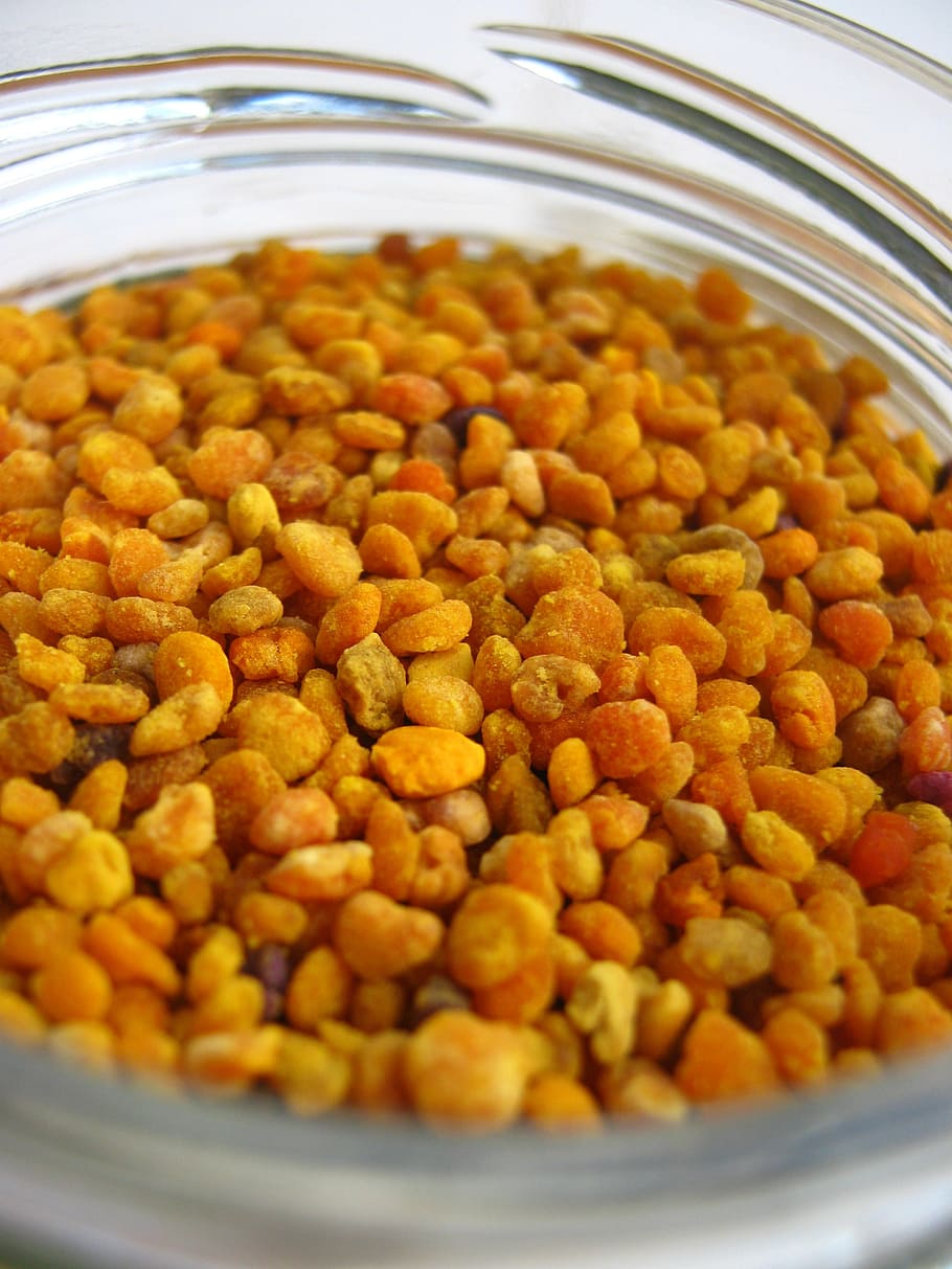 pollen, pot, pollen balls, food, food and drink, indoors, healthy eating HD wallpaper