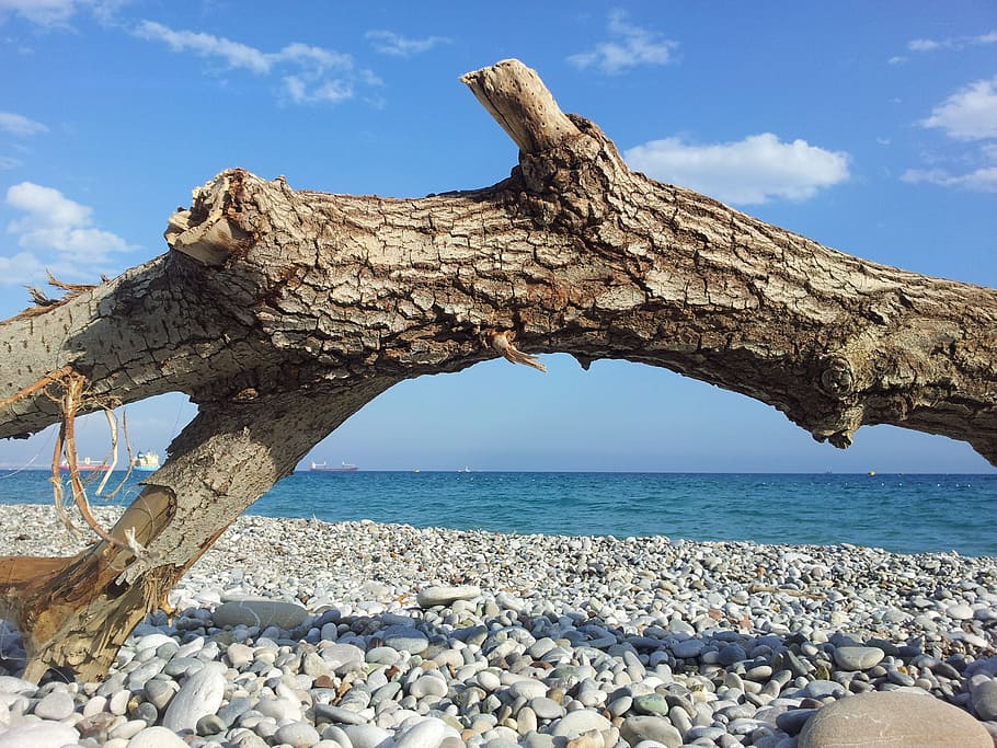 sea, pebble beach, log, blue, water, sky, rock, solid, tranquility HD wallpaper