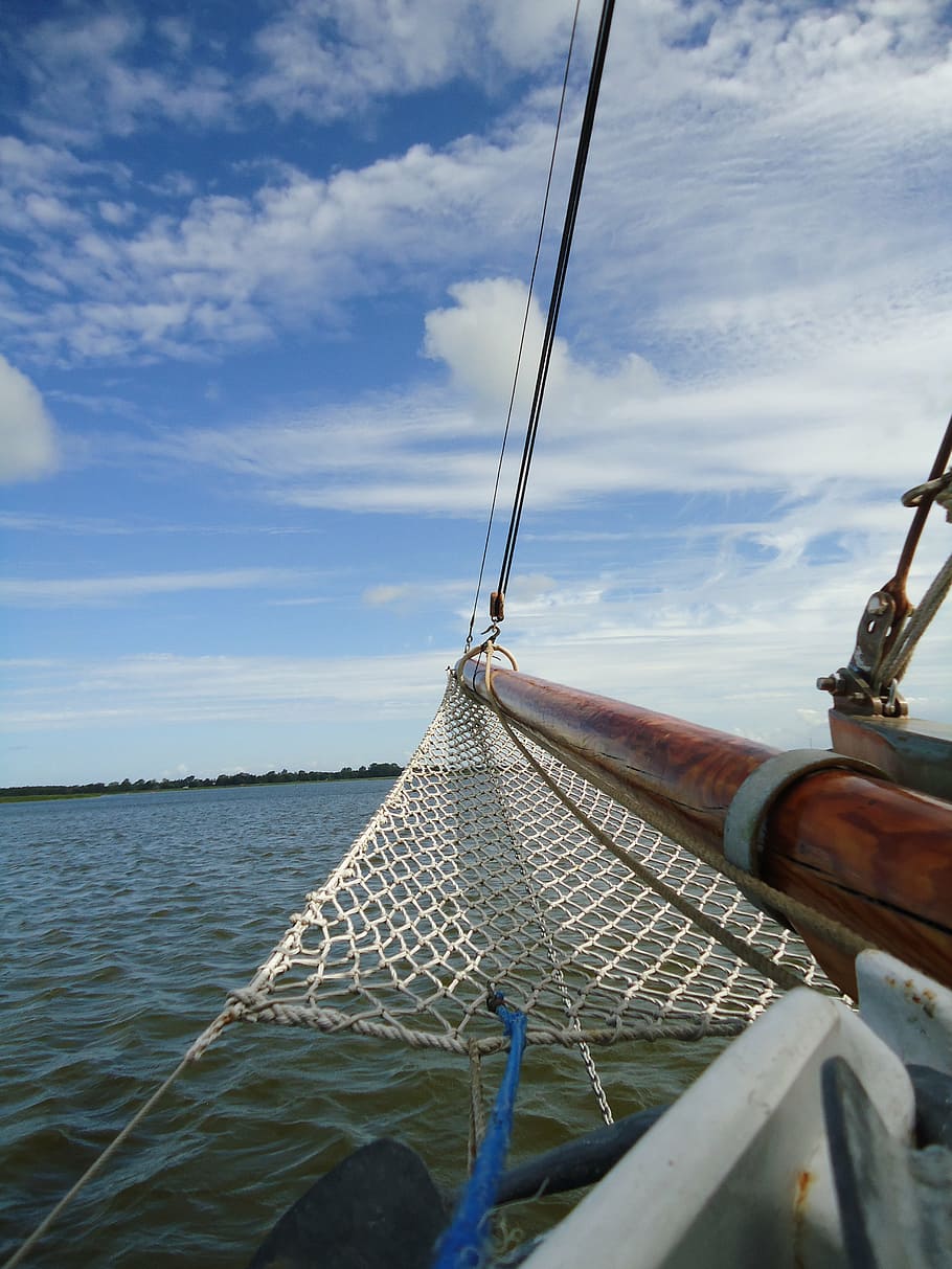 sailing boat, bug, boot, sea, water, shipping, seafaring, sky HD wallpaper