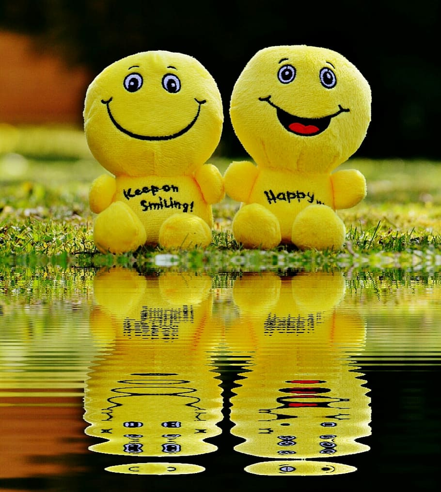 two yellow plush toys, smiley, laugh, bank, mirroring, water, HD wallpaper