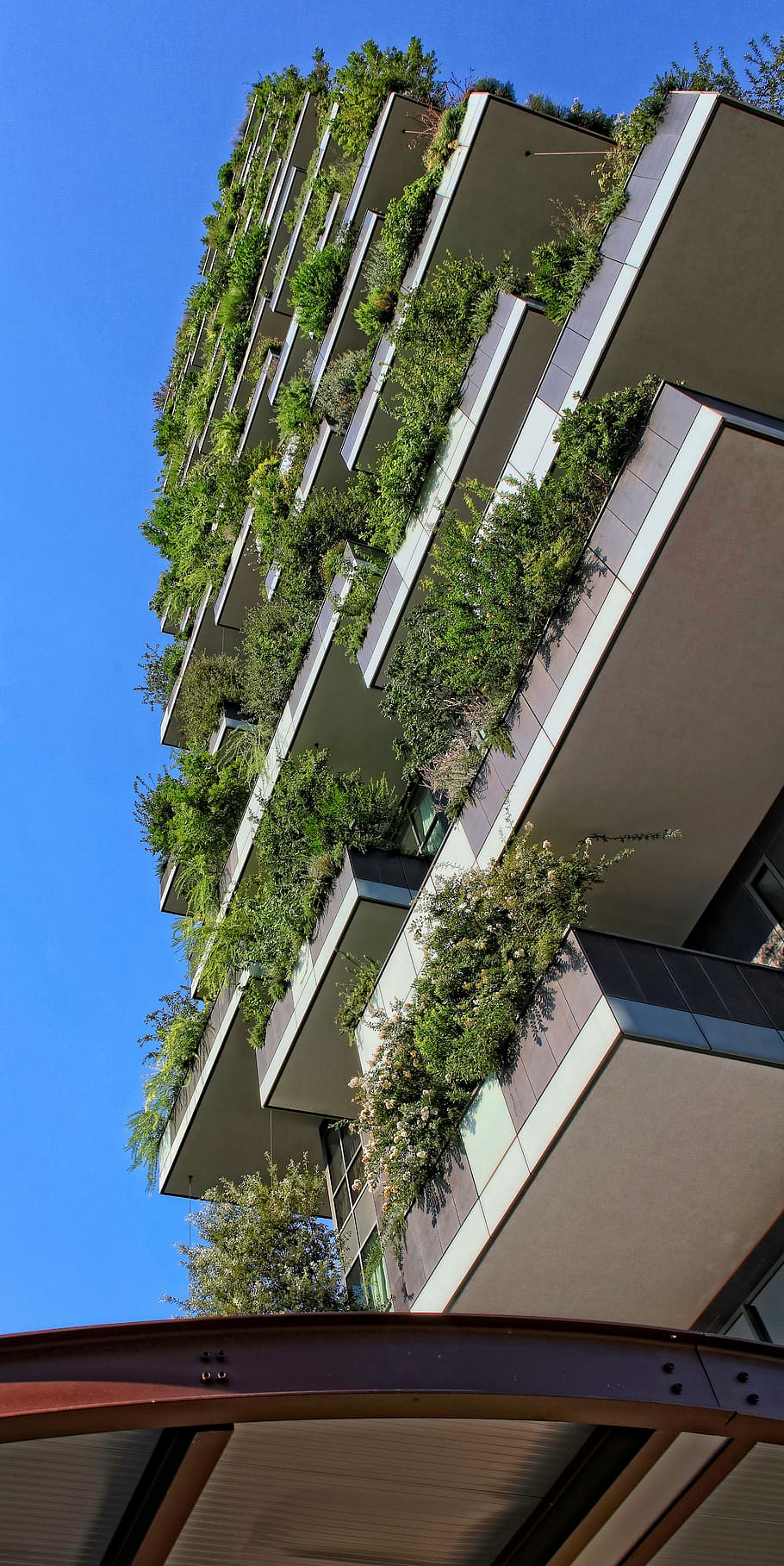 white and brown painted building during daytime, green plant potted in concrete plant box HD wallpaper