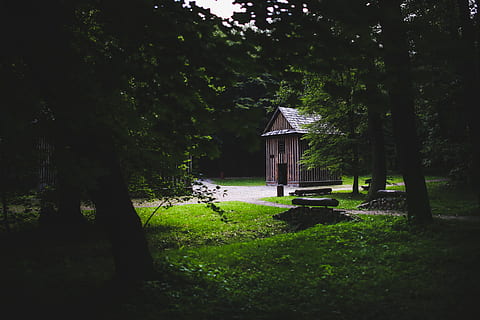 Wooden building in the forest, alone, architecture, barn, bungalow HD wallpaper