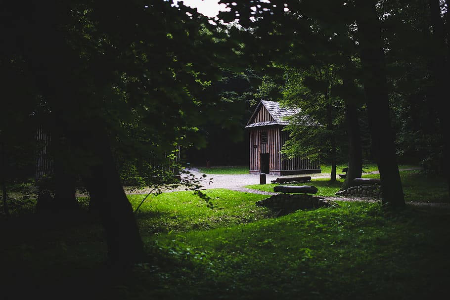Wooden building in the forest, alone, architecture, barn, bungalow HD wallpaper