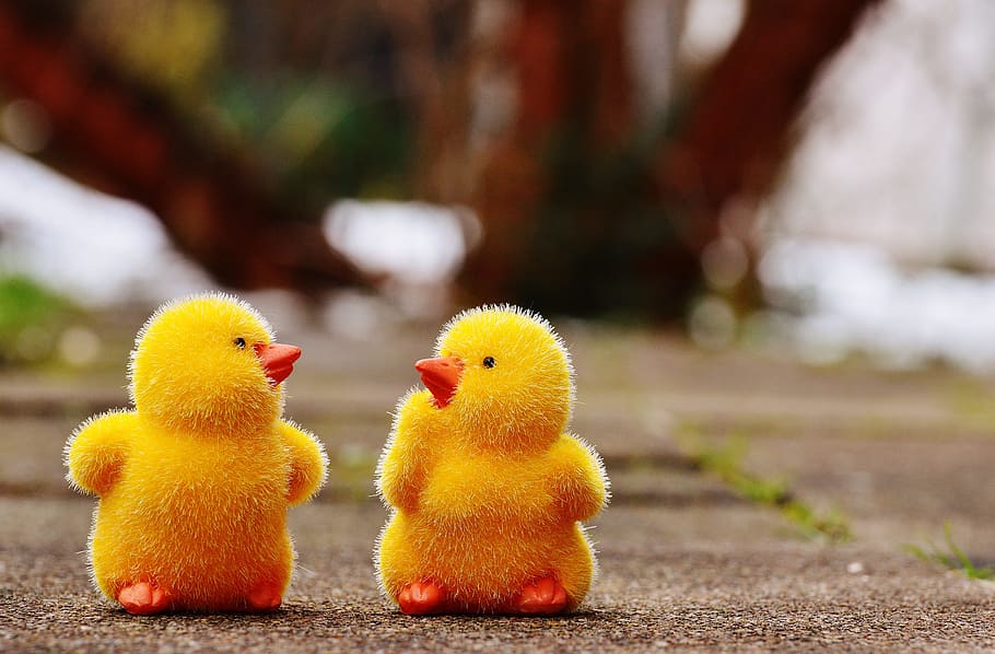 two yellow chicks on floor, easter, cute, figure, easter theme HD wallpaper
