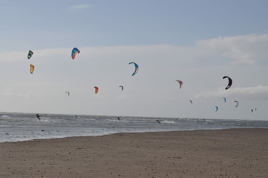 Kites, Beach, Wind, Sea, Flying, activity, seashore, sand, horizon over water HD wallpaper