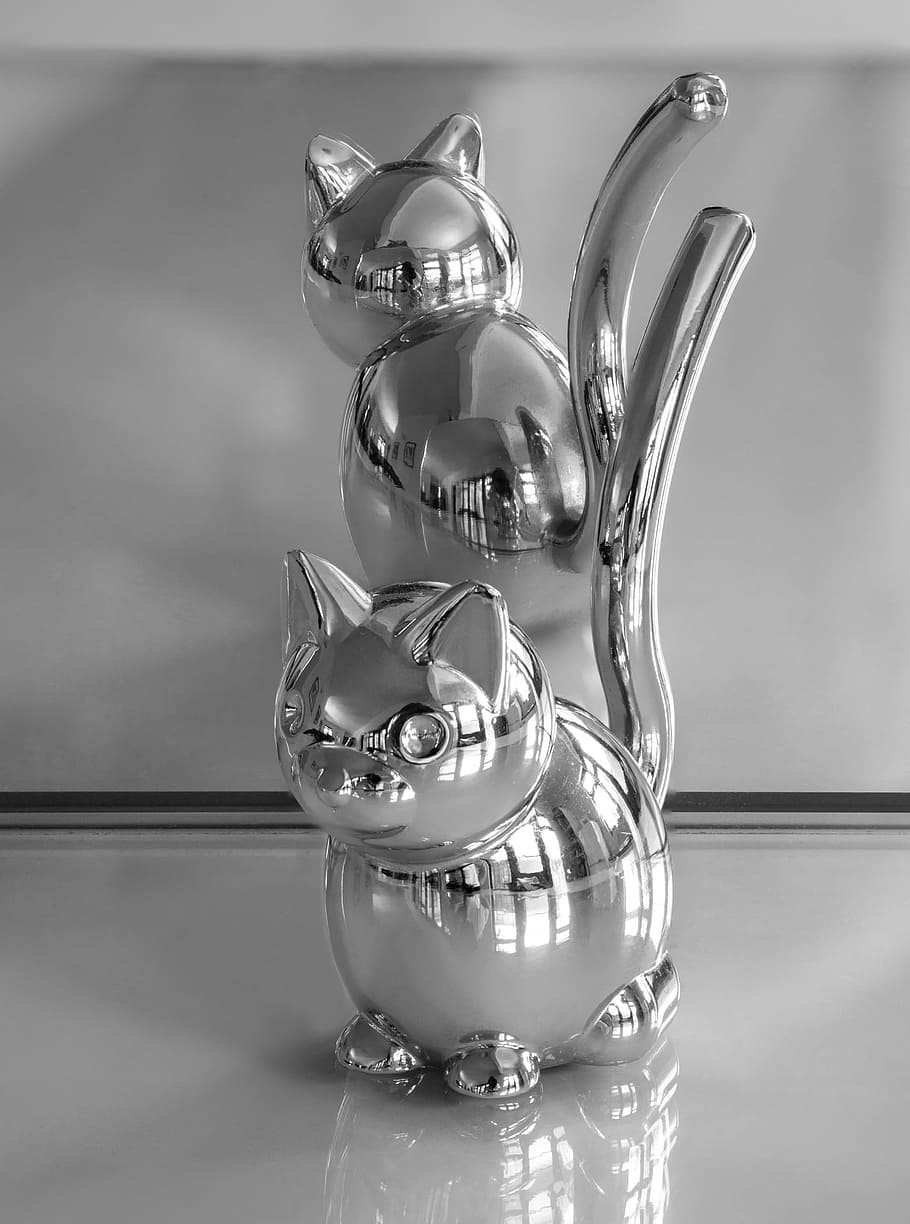 umbra zoola cat, reflections, shining, glass, mirror, mirrored, HD wallpaper