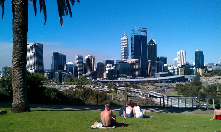 group of people sitting on green grass, perth, west australia
