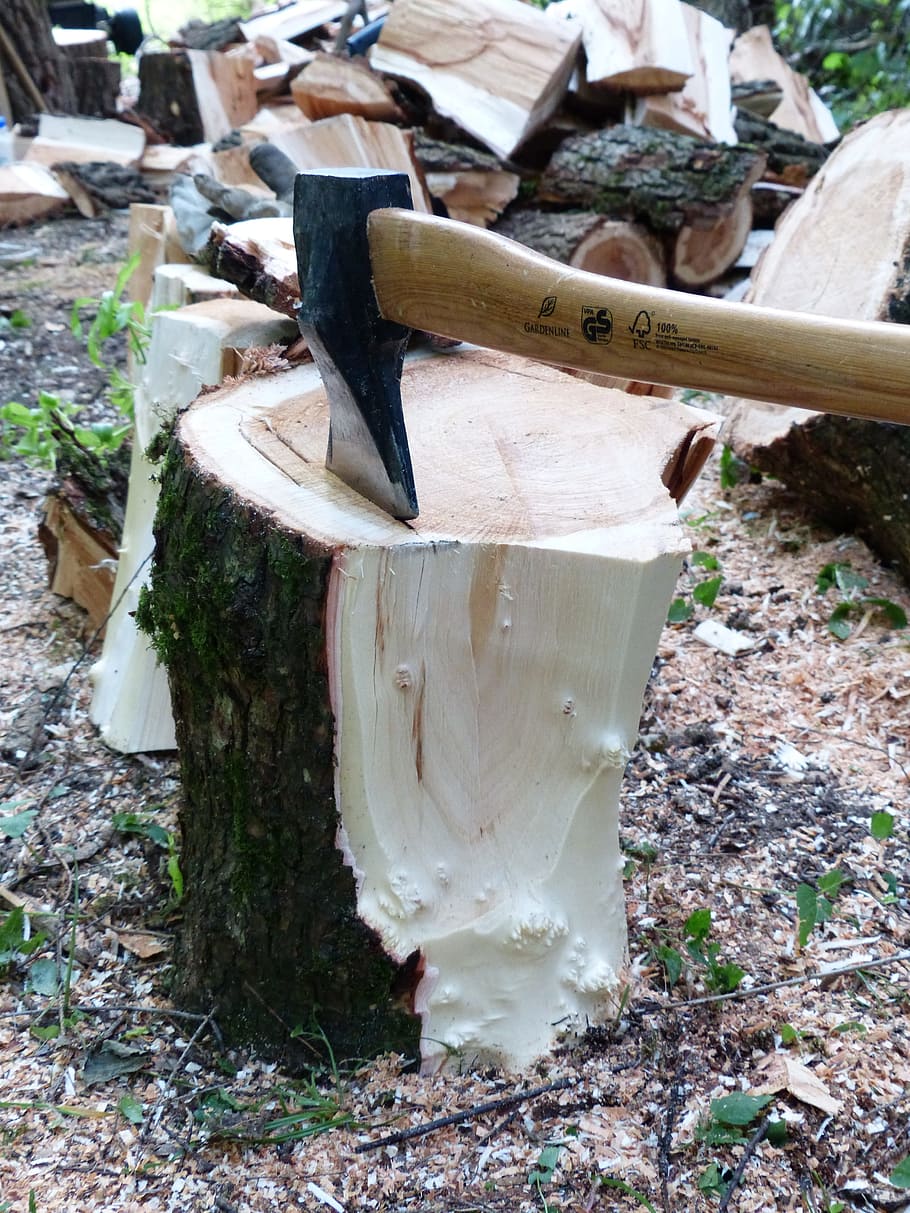 Ax, Axe, Hack, Wood Chop, Log, make wood, work, forest work HD wallpaper