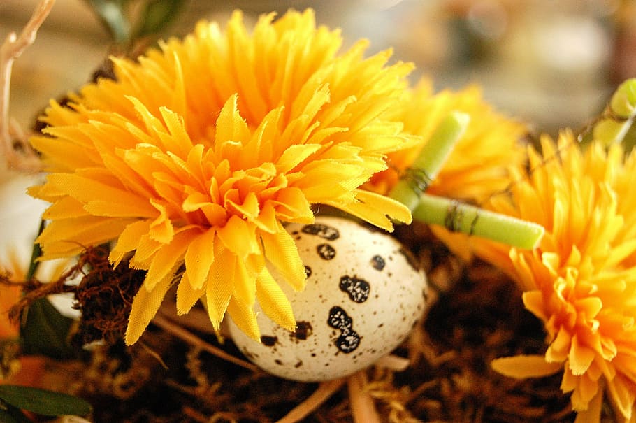 flower, egg, easter, reed, ornament, flowers, easter eggs, flowering plant HD wallpaper