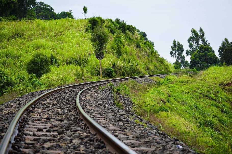landscape, photography, railway, plant, rail transportation HD wallpaper