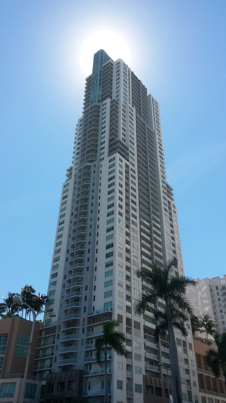 miami, building, backlight, skyscraper, building exterior, built structure HD wallpaper