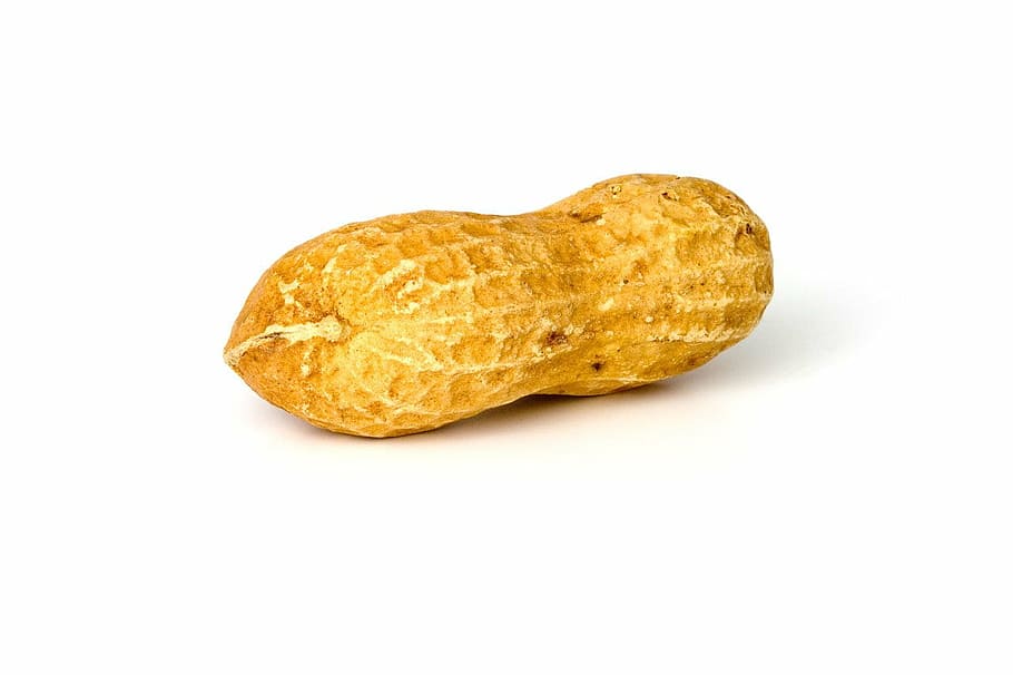 peanut on white surface, peanuts, food, whole, brown, yellow HD wallpaper
