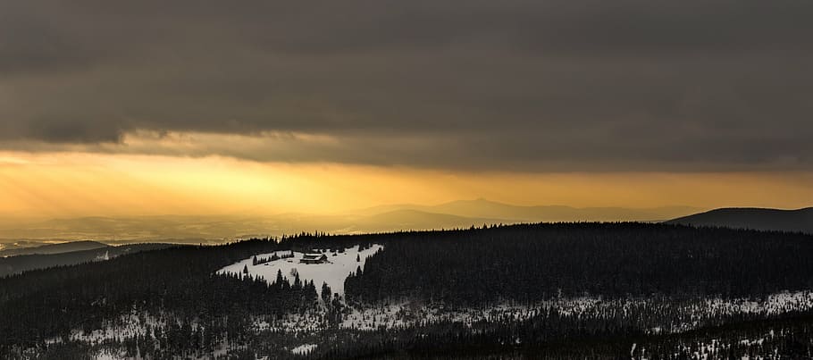 dawn, dusk, forest, idyllic, landscape, light, outdoors, scenic HD wallpaper