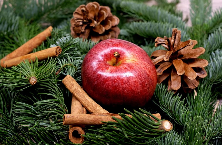 ripe apple with cinnamon rolls, fruit, red, christmas, decoration, HD wallpaper