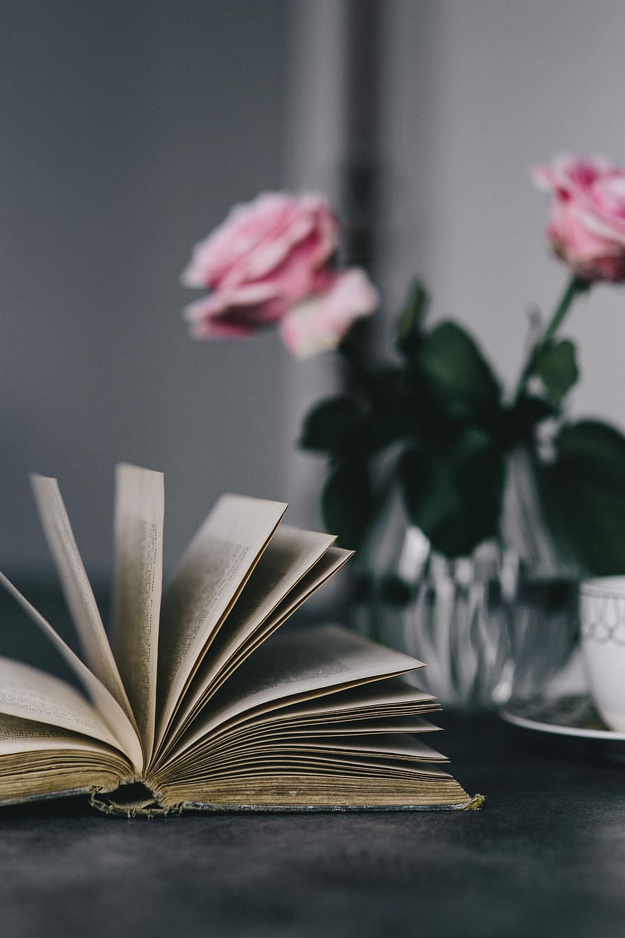 Lovely roseses, book and coffee, interior, resting, relax, essentials